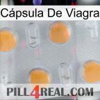 Cápsula De Viagra 24